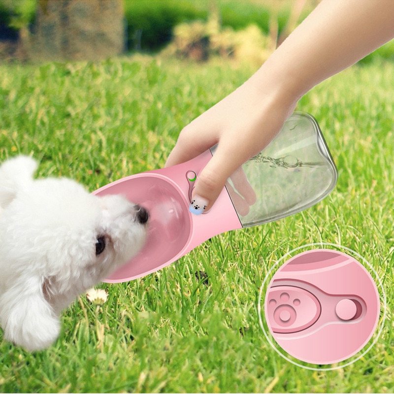 Refresh Your Pet's Adventures, Anytime, Anywhere!