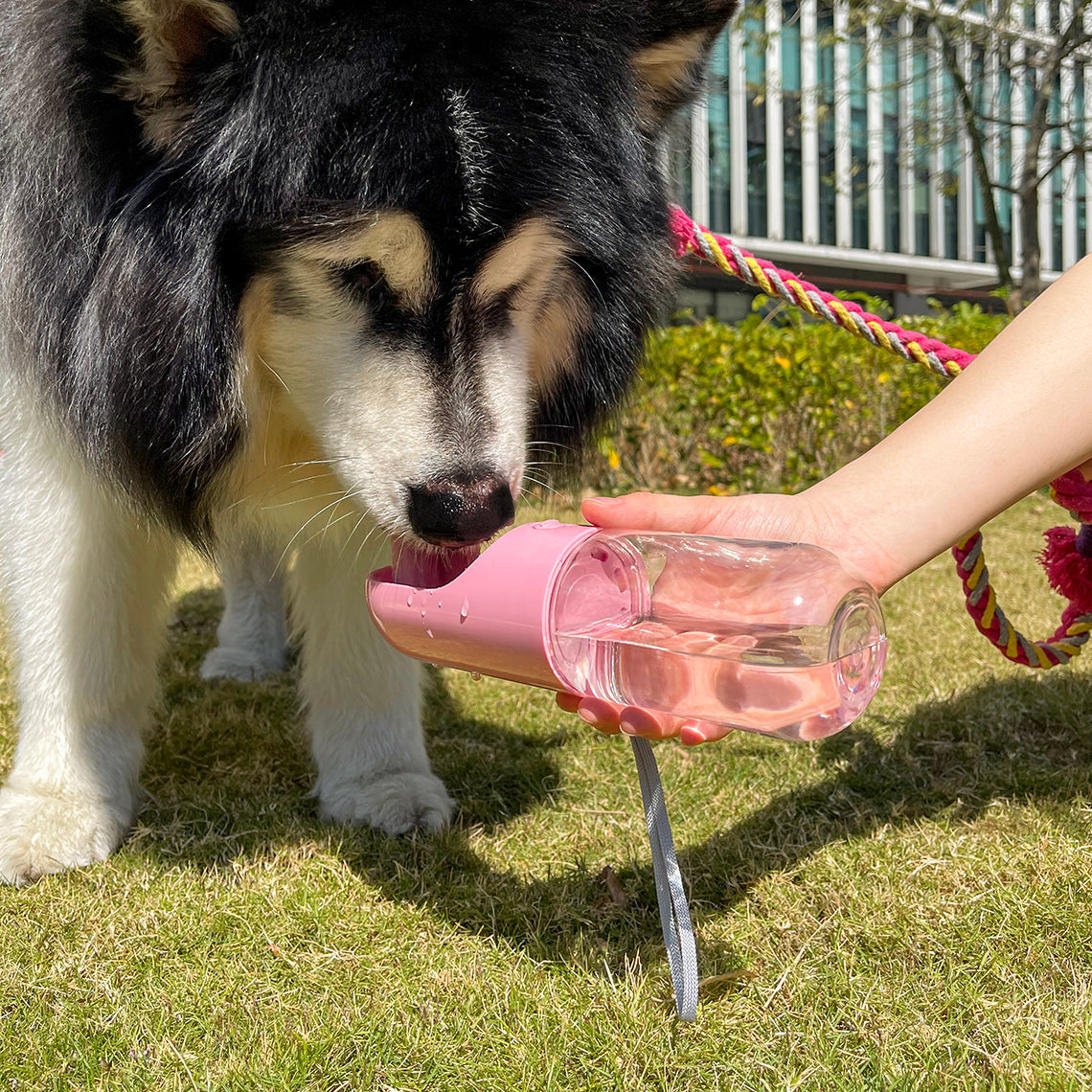 Stay Hydrated Anywhere You Go!